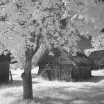 Hungary Old Wood House 2615